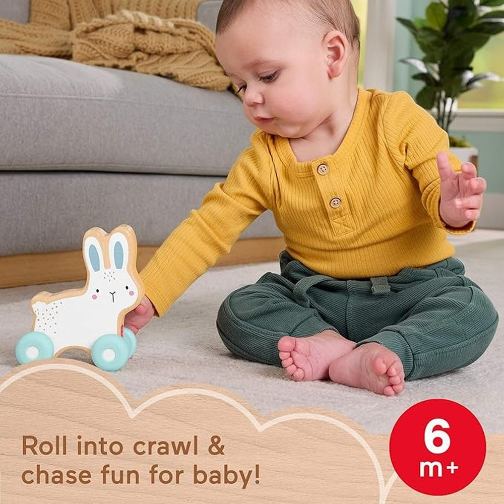 Infant Toys - Wooden Push Along Bunny