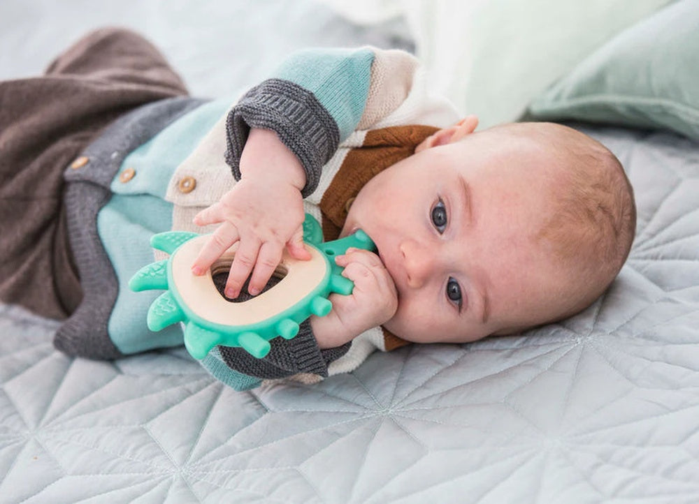 Hape - Infant Toys: Teether Hedgehog