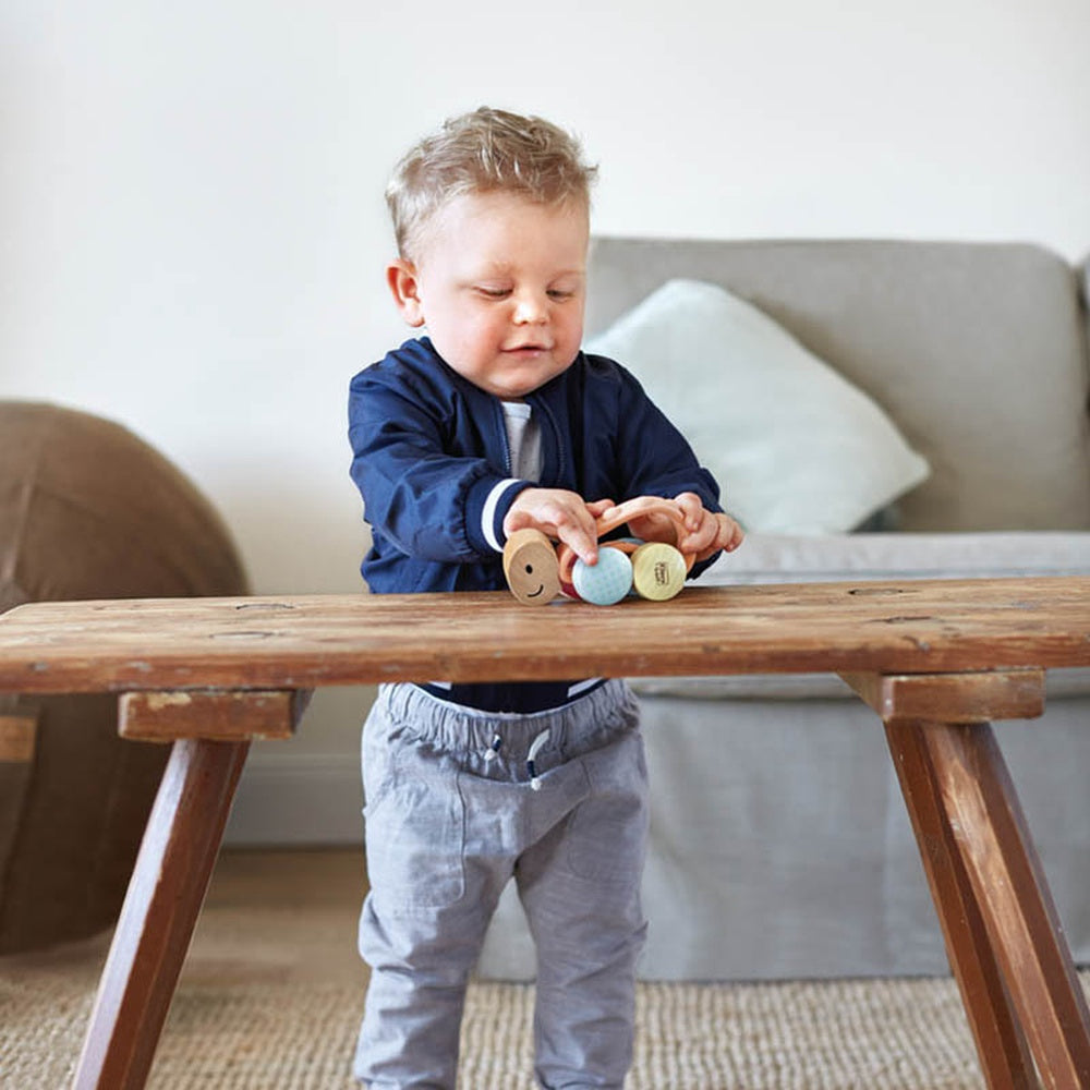 Hape - Infant Toys: Turbo Turtle