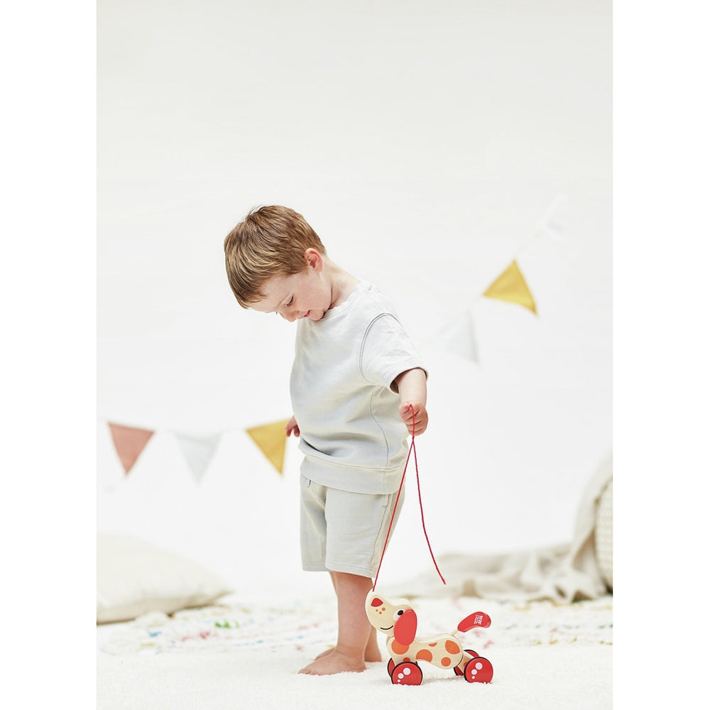 Hape - Push & Pull: Pepe Pull Along