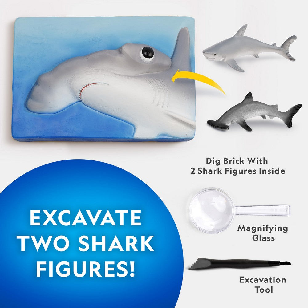 National Geographic: Shark Dig Kit