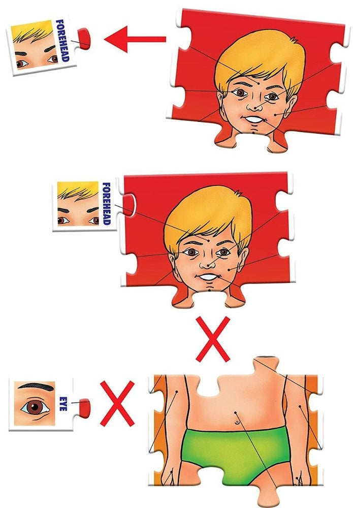 Early Learning Series - Parts of My Body