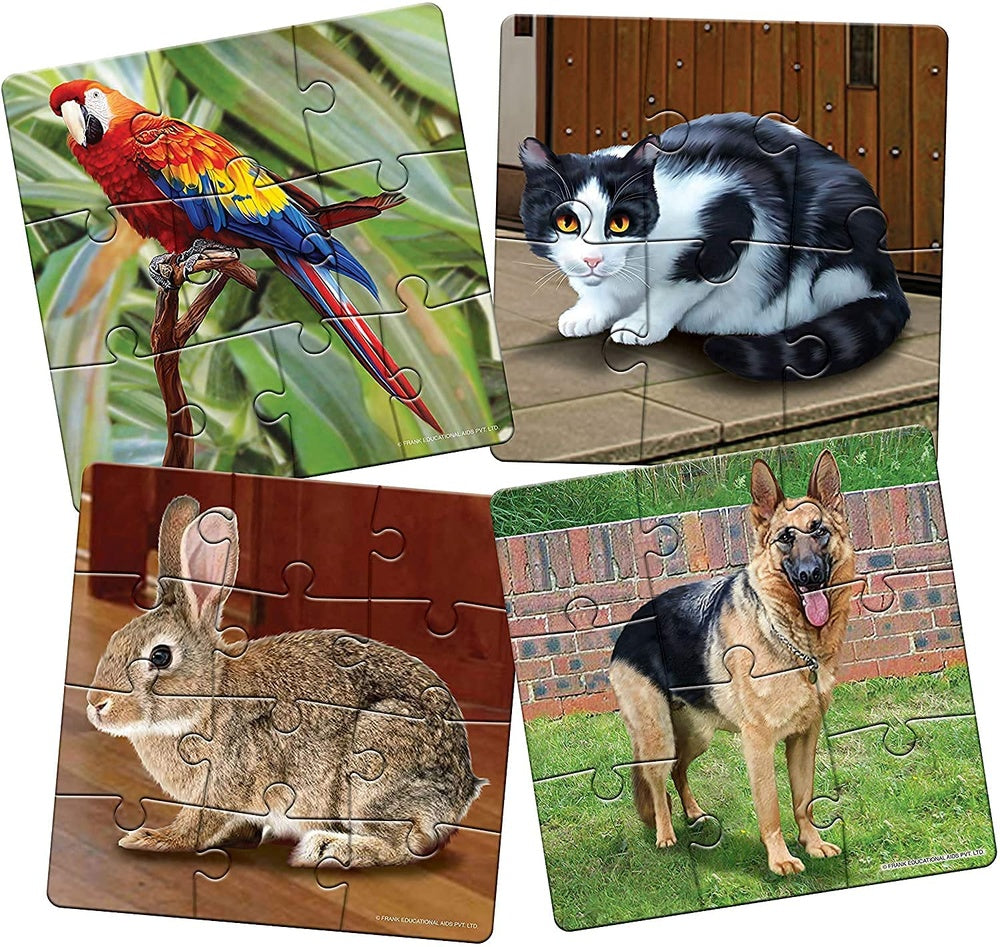 Play & Learn Puzzle 4pk - Asst A (Dinosaurs - In the Jungle - My Pets)