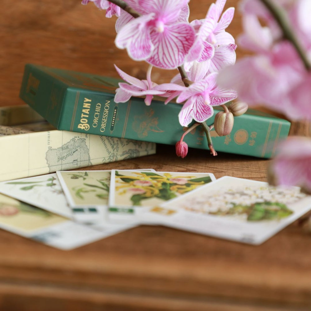 Botany: Orchid Obsession