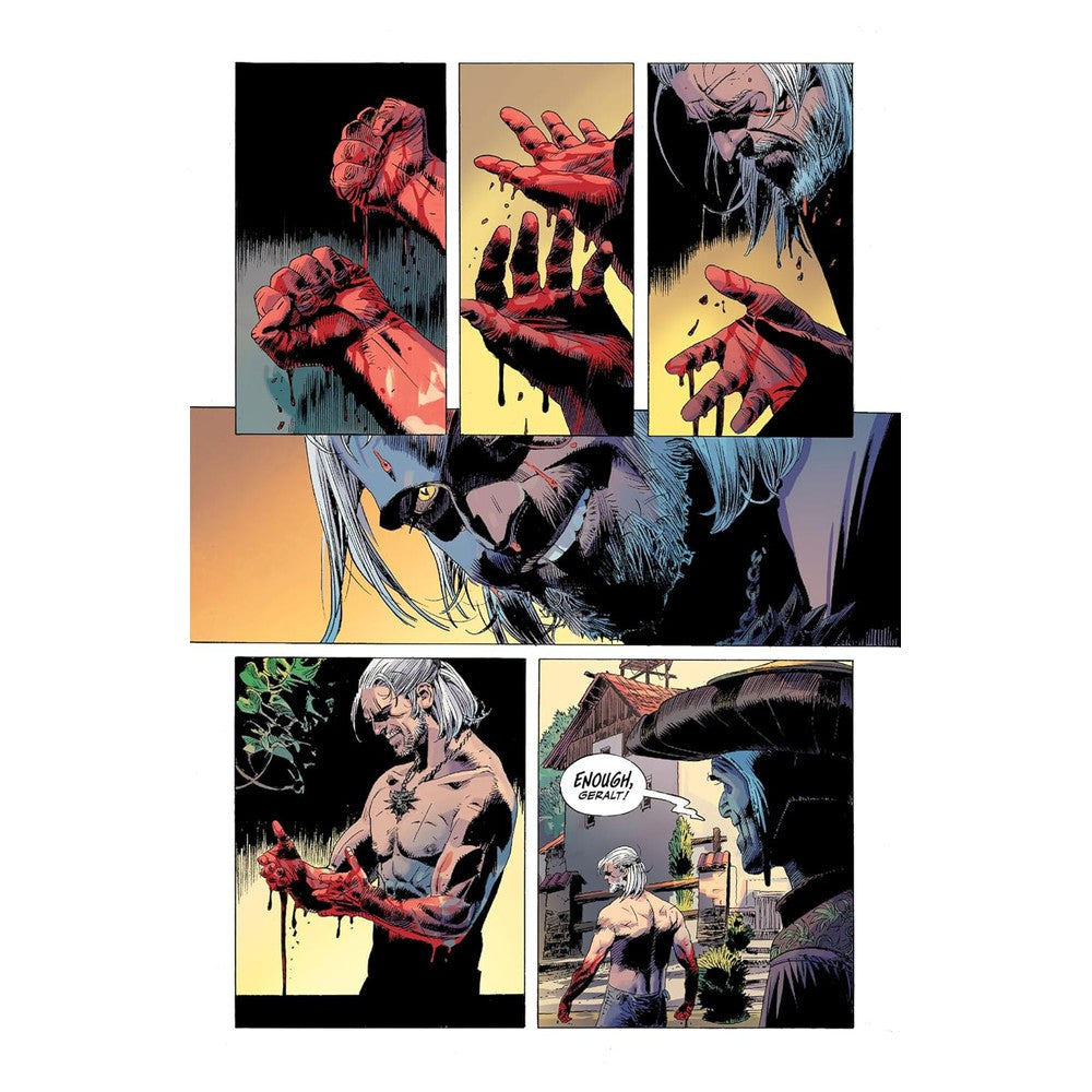 The Witcher Volume 9: Corvo Bianco