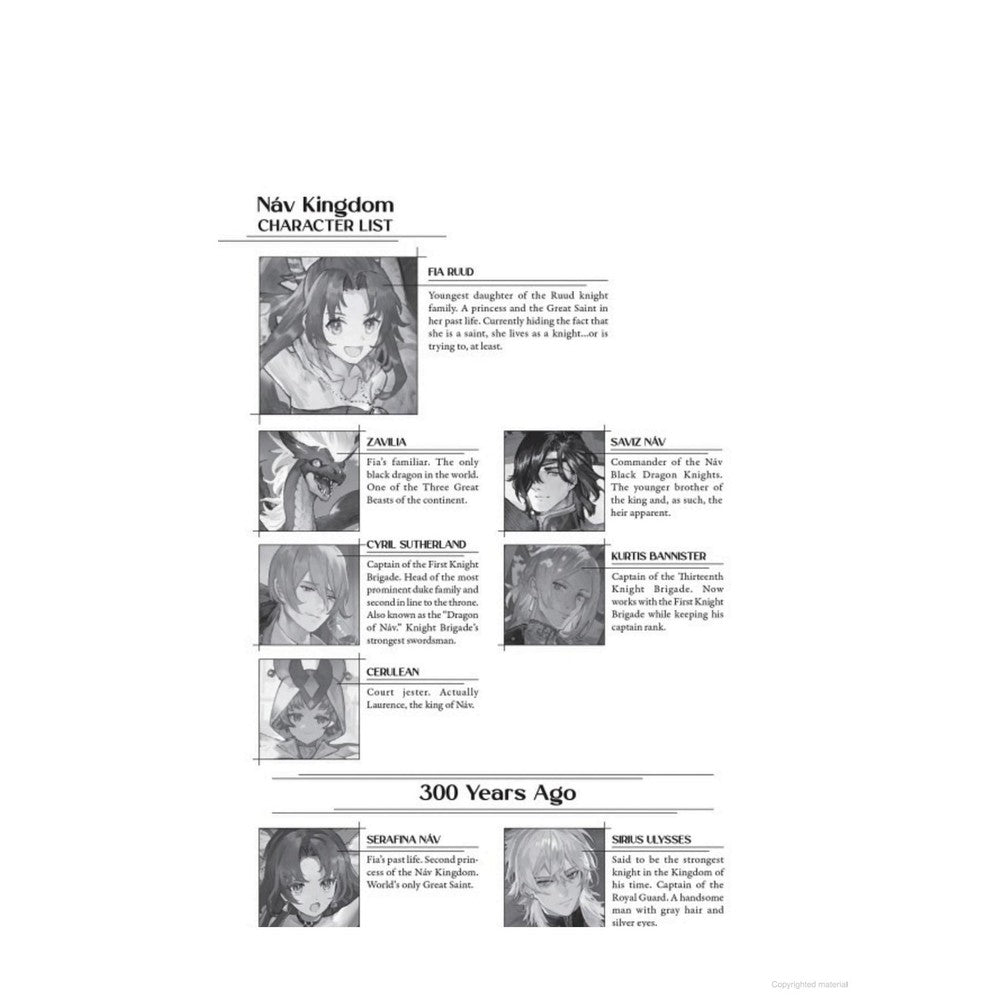 A Tale Of The Secret Saint (Light Novel) Vol. 8