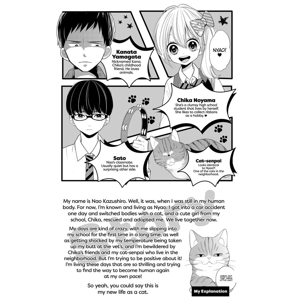 My New Life As A Cat Vol. 10