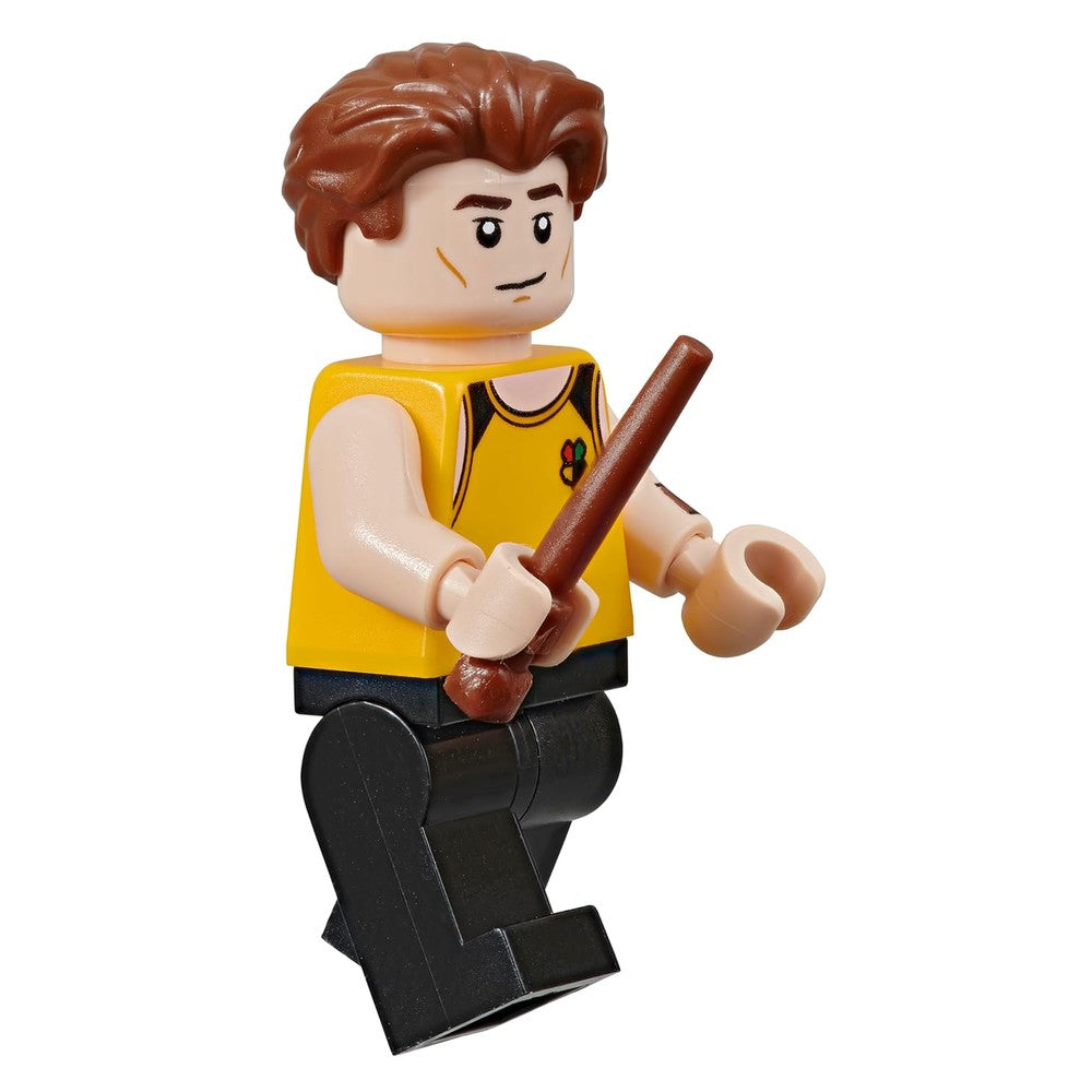 LEGO Harry Potter Visual Dictionary