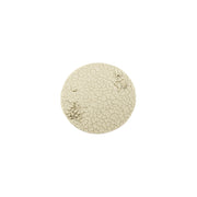 Micro Art Studio - Resin Round/Oval Bases - Wasteland Bases - Round 100mm (1)