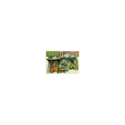 Everdell - Emerland - Wooden Jungle Ruins