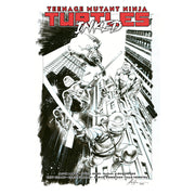 Teenage Mutant Ninja TurtlesVol. 1: Return to New Yorkâ€”Inked Deluxe Edition