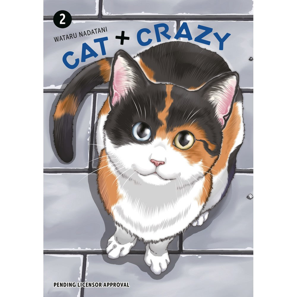 Cat + Crazy Volume 2