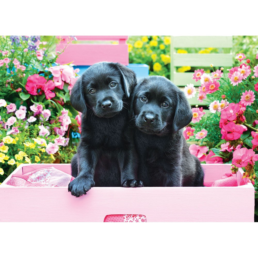 Puzzle - Eurographics - Black Labs In Pink Box 500pcxl