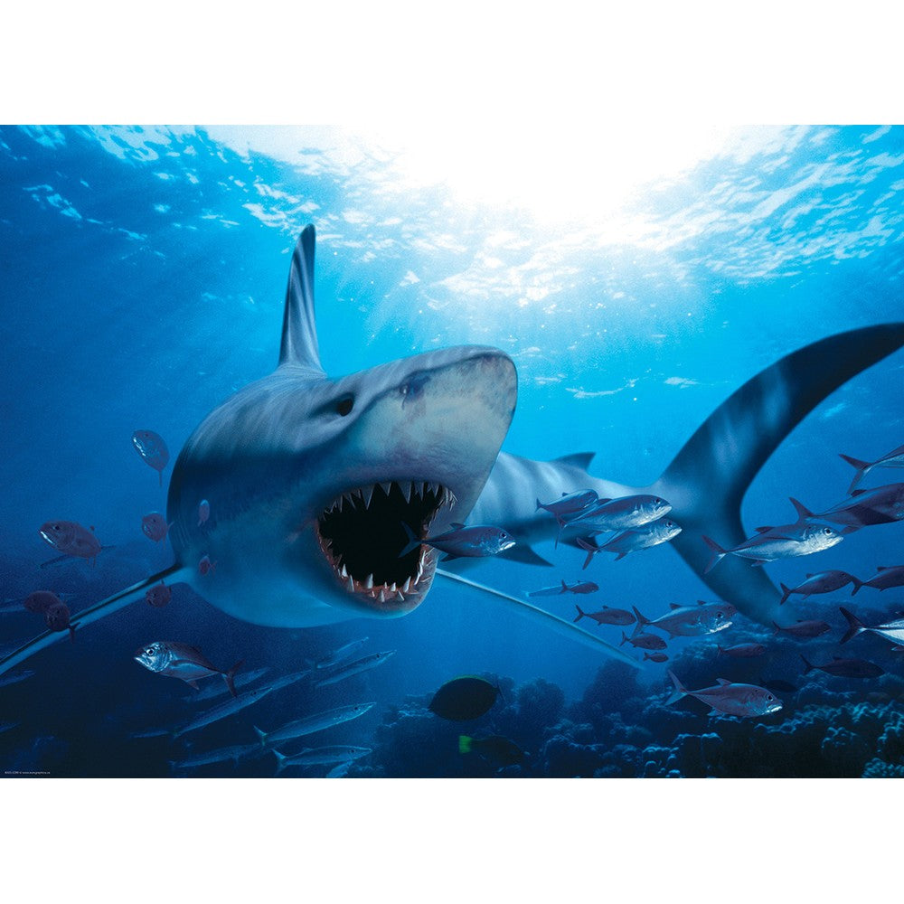 Puzzle - Hungry Shark 1000pc