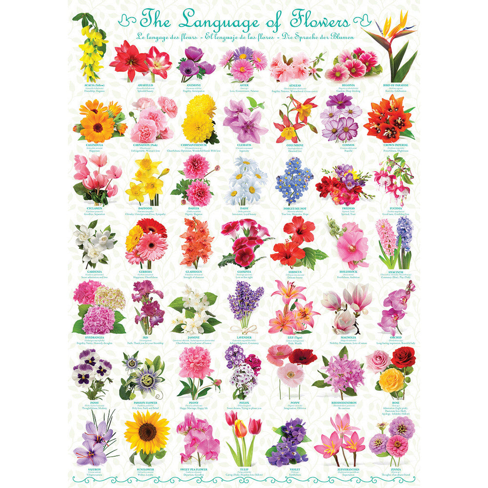 Puzzle - Eurographics - Language Of Flowers 1000pc