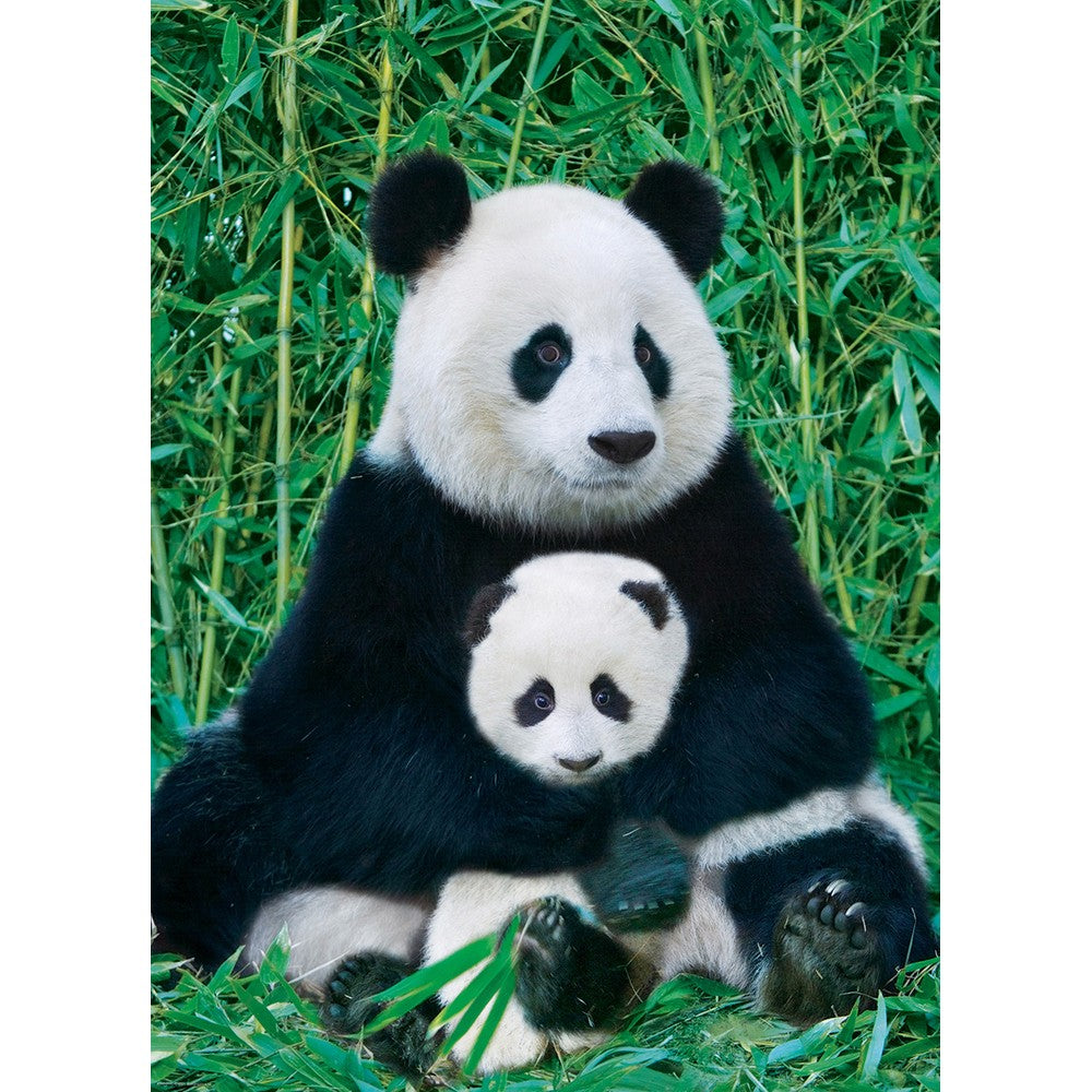 Puzzle - Eurographics - Panda & Baby 1000pc