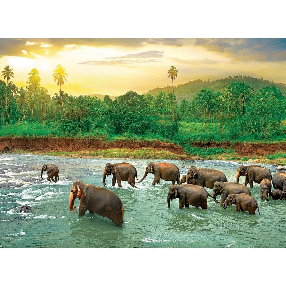 Puzzle - Eurographics - Rainforest 1000pc