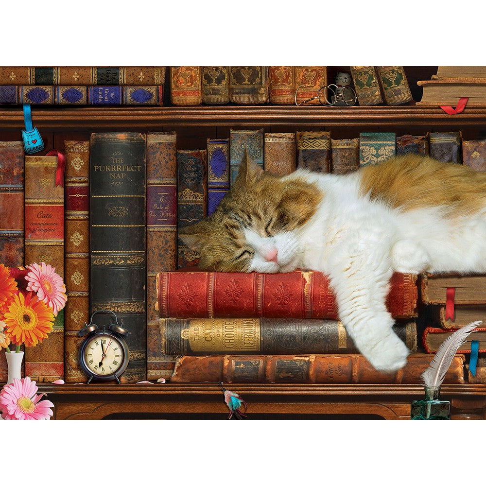 Puzzle - Eurographics - The Cat Nap 500pcxl