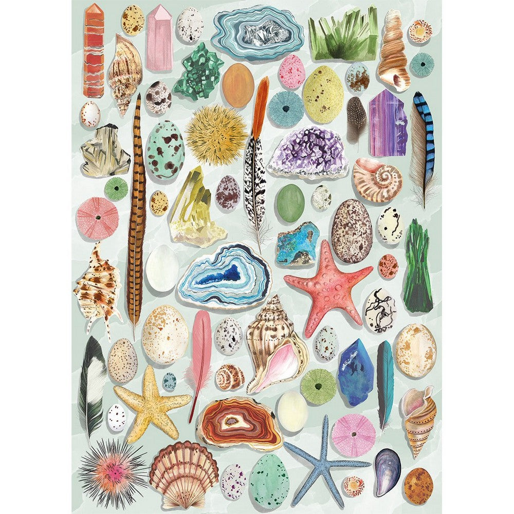 Puzzle - Art File Natural Curiosities