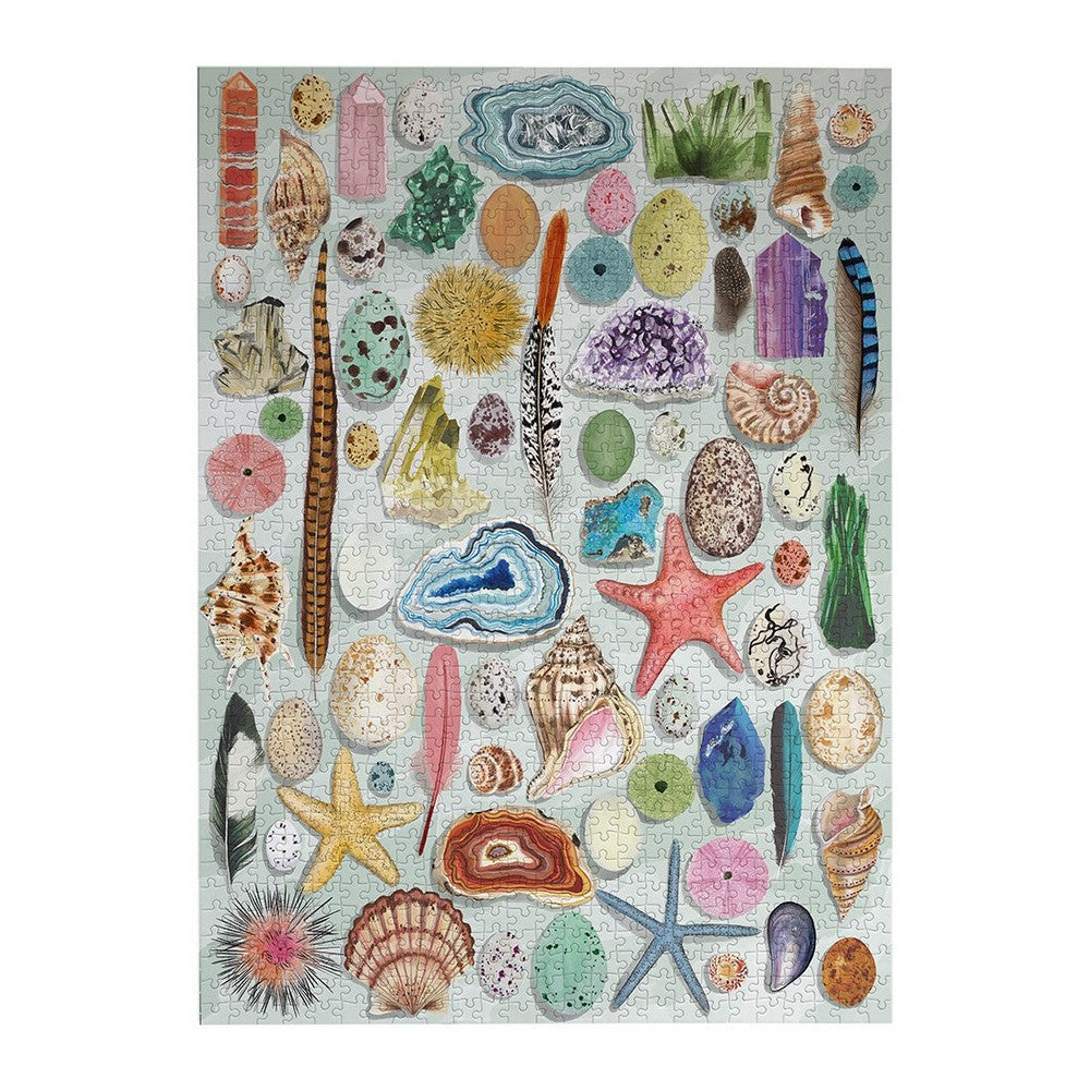 Puzzle - Art File Natural Curiosities
