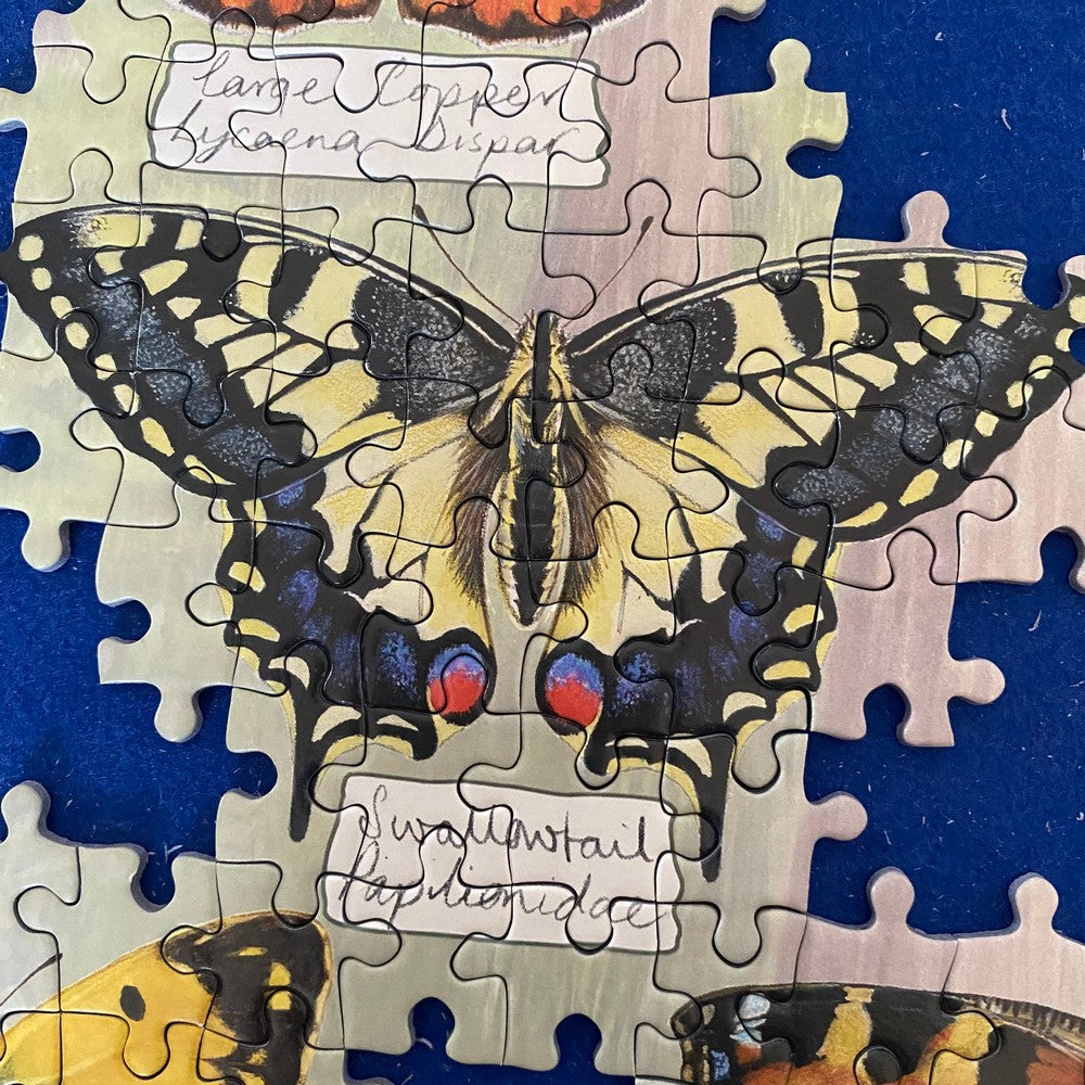Puzzle - Beautiful Butterflies 1000Pc