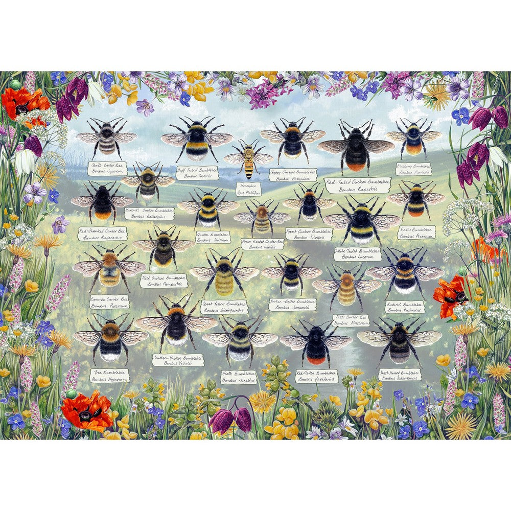 Puzzle - Brilliant Bees 1000Pc