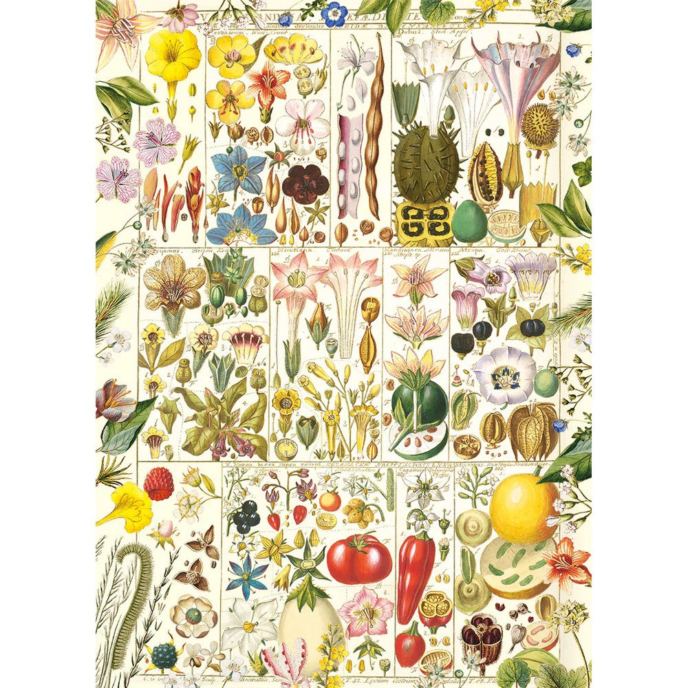 Puzzle - Gibsons - Rhs Botanical Bliss 1000Pc