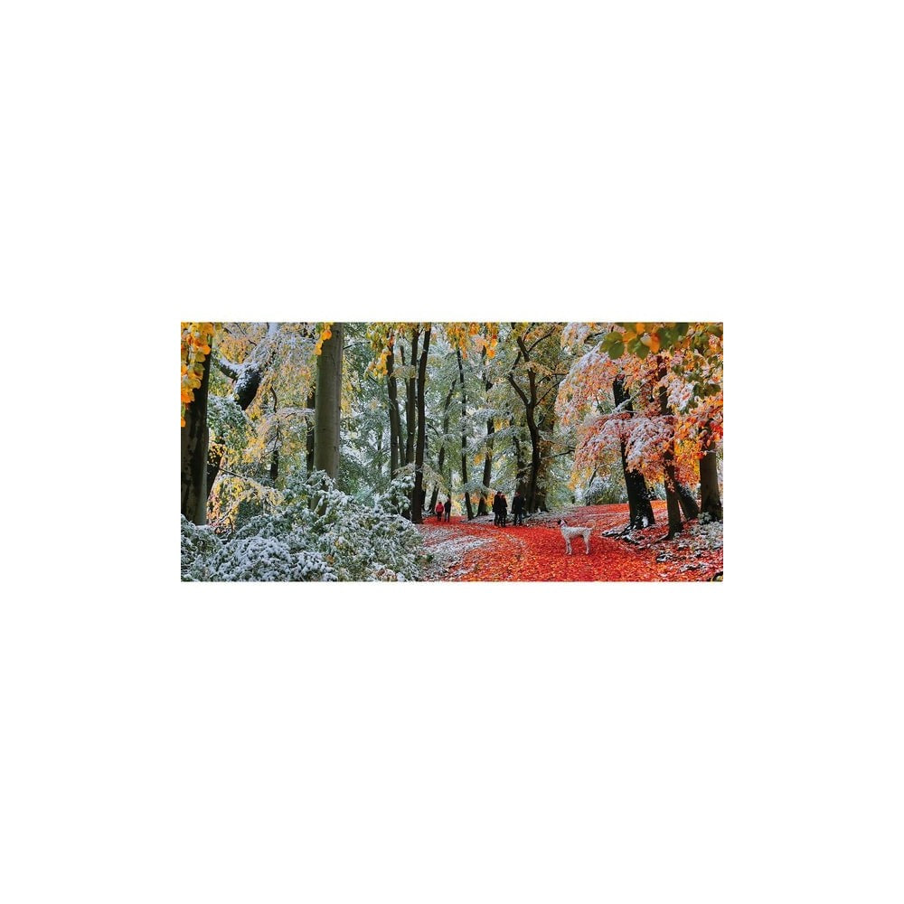 Puzzle - Snow In Autumn 636Pc