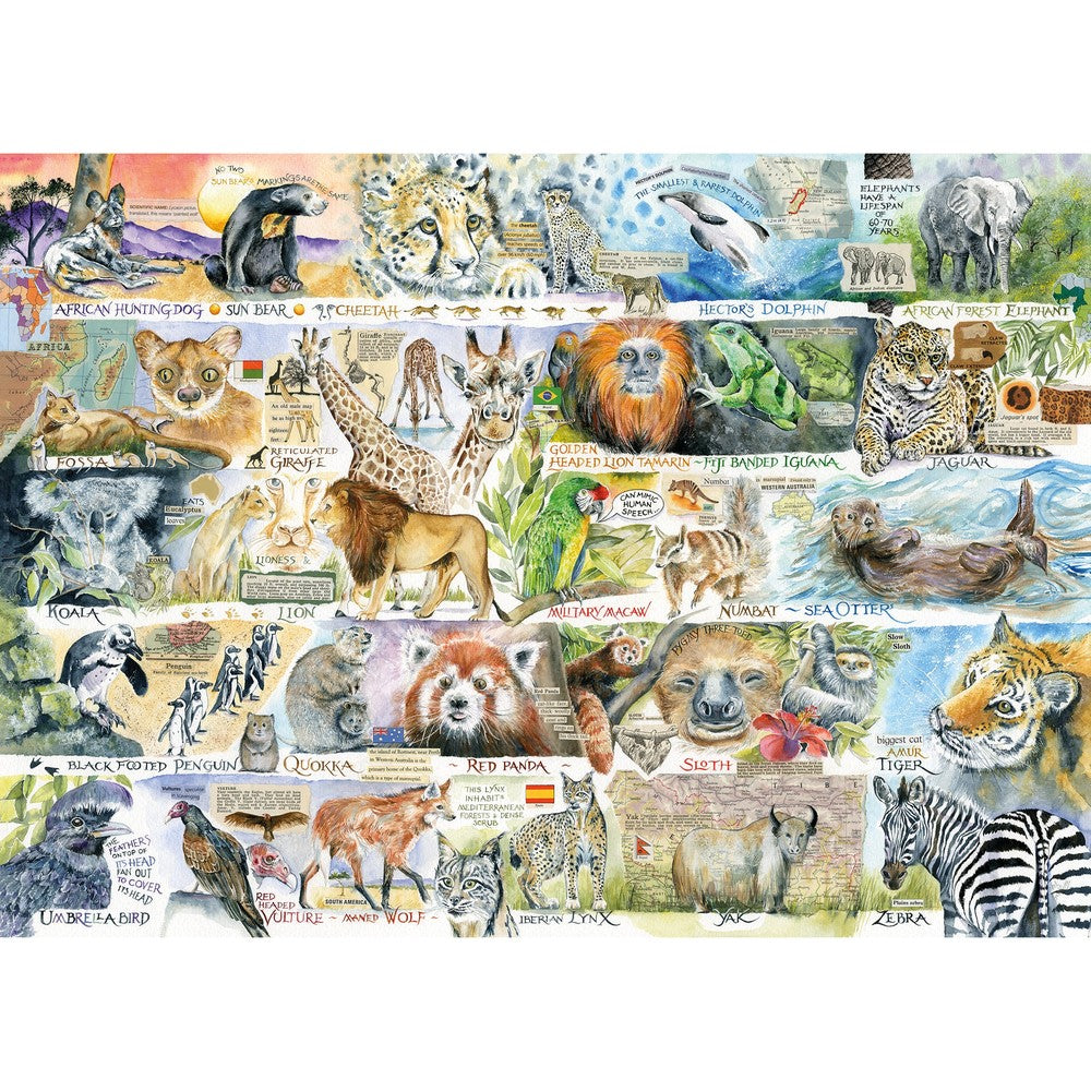 Puzzle - Sun Bears & Sloths 1000Pc