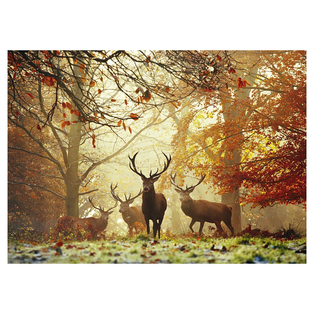 Puzzle - Heye - Magic Forest Stags 1000Pc