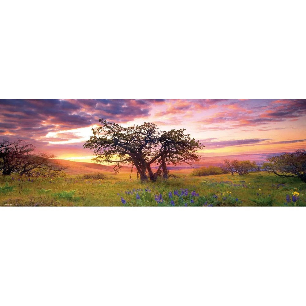 Puzzle - Panorama; Oak Tree 2000Pc