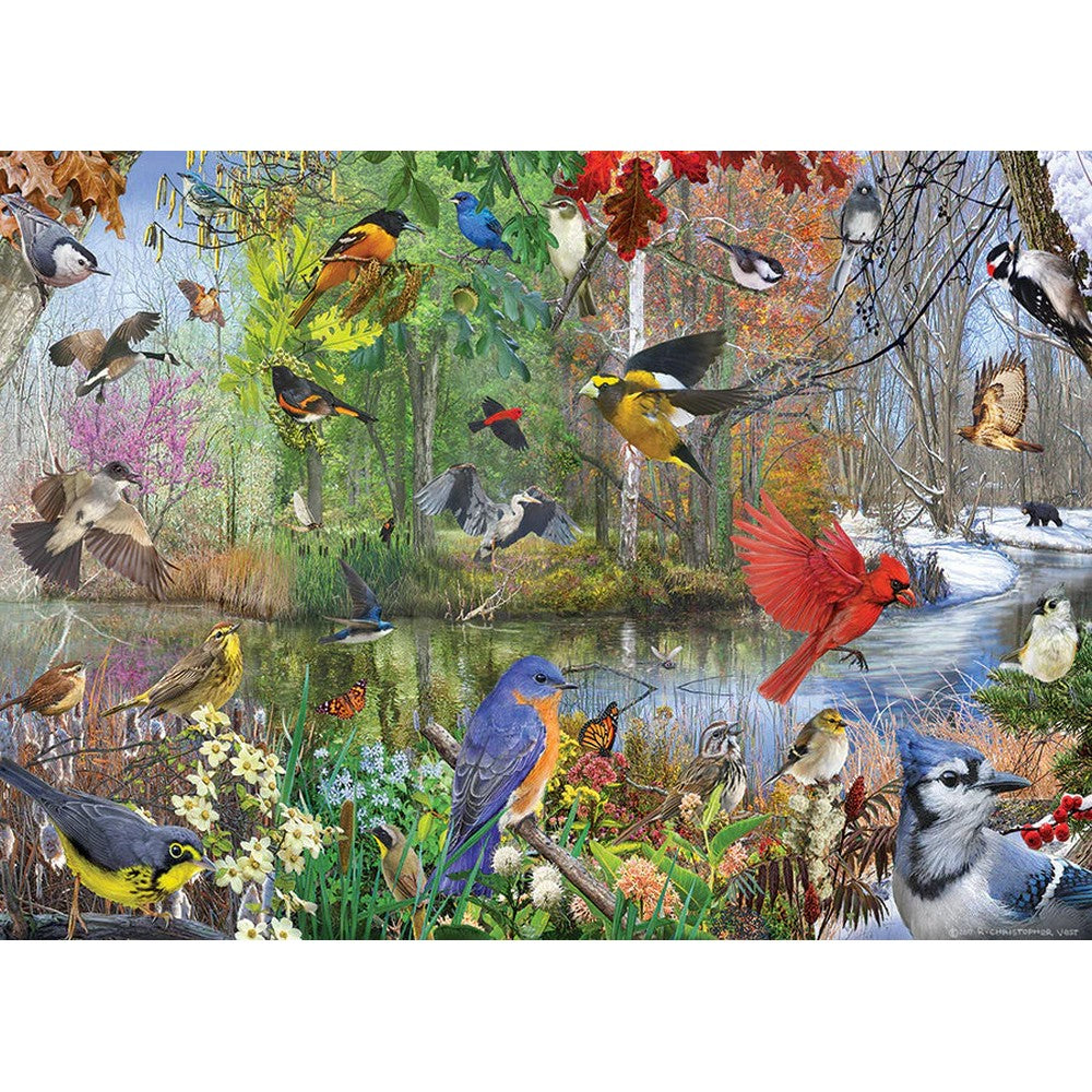 Puzzle - Birds Of The Season 1000Pc