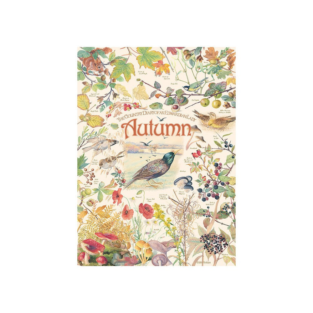 Puzzle - Cobble Hill - Country Diary: Autumn 1000Pc