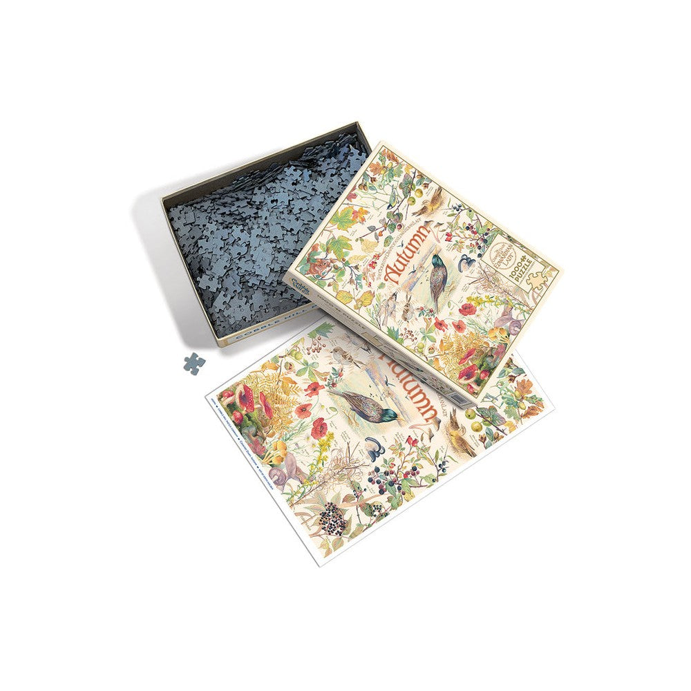 Puzzle - Cobble Hill - Country Diary: Autumn 1000Pc