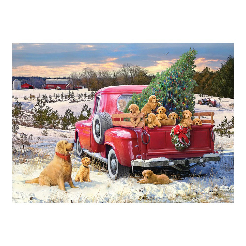 Puzzle - Cobble Hill - Family Outing 1000Pc