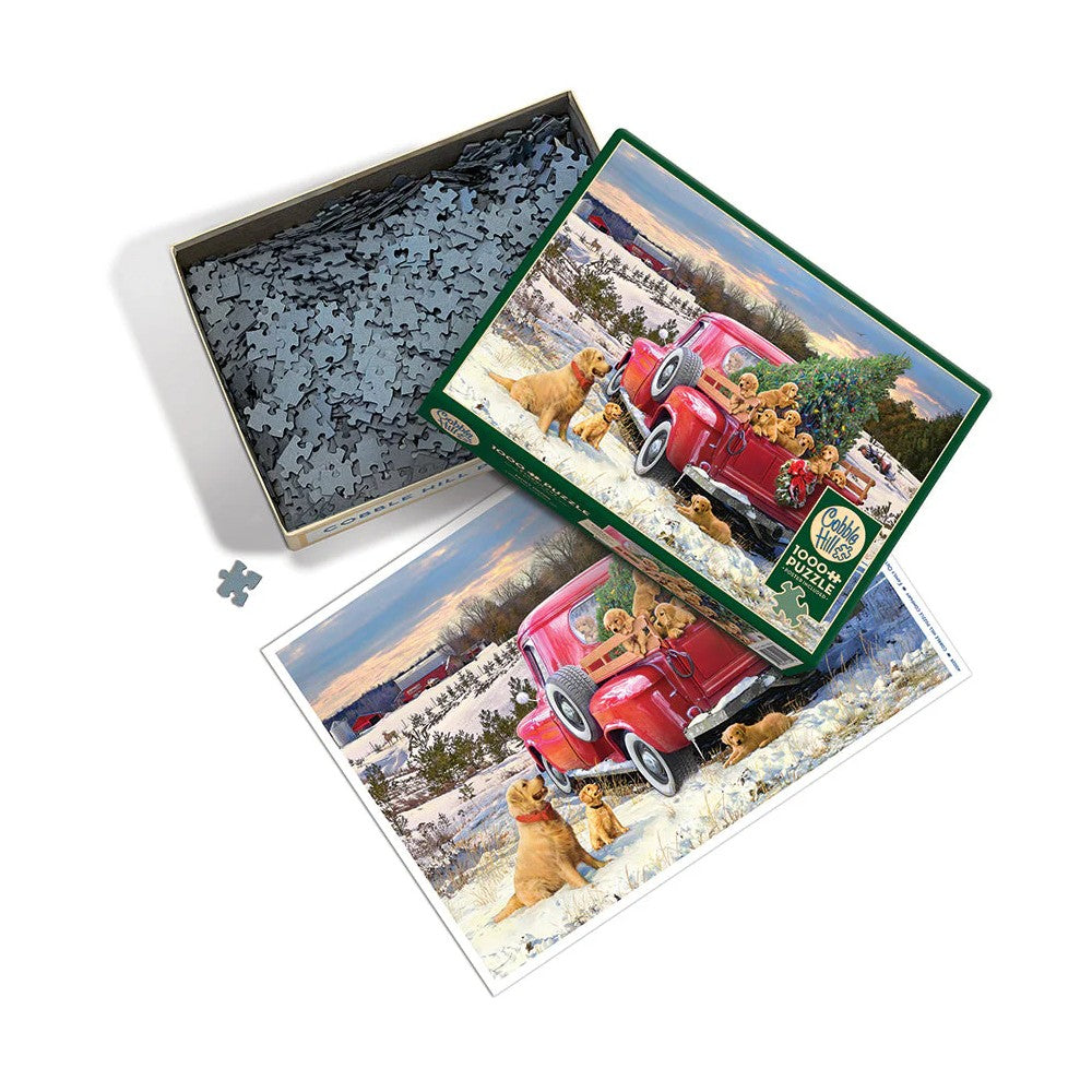 Puzzle - Cobble Hill - Family Outing 1000Pc