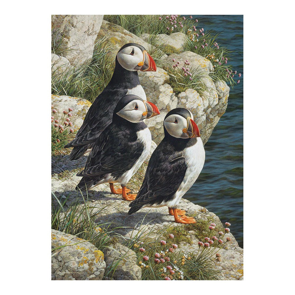 Puzzle - Cobble Hill - Fisherman's Wharf 500Pc