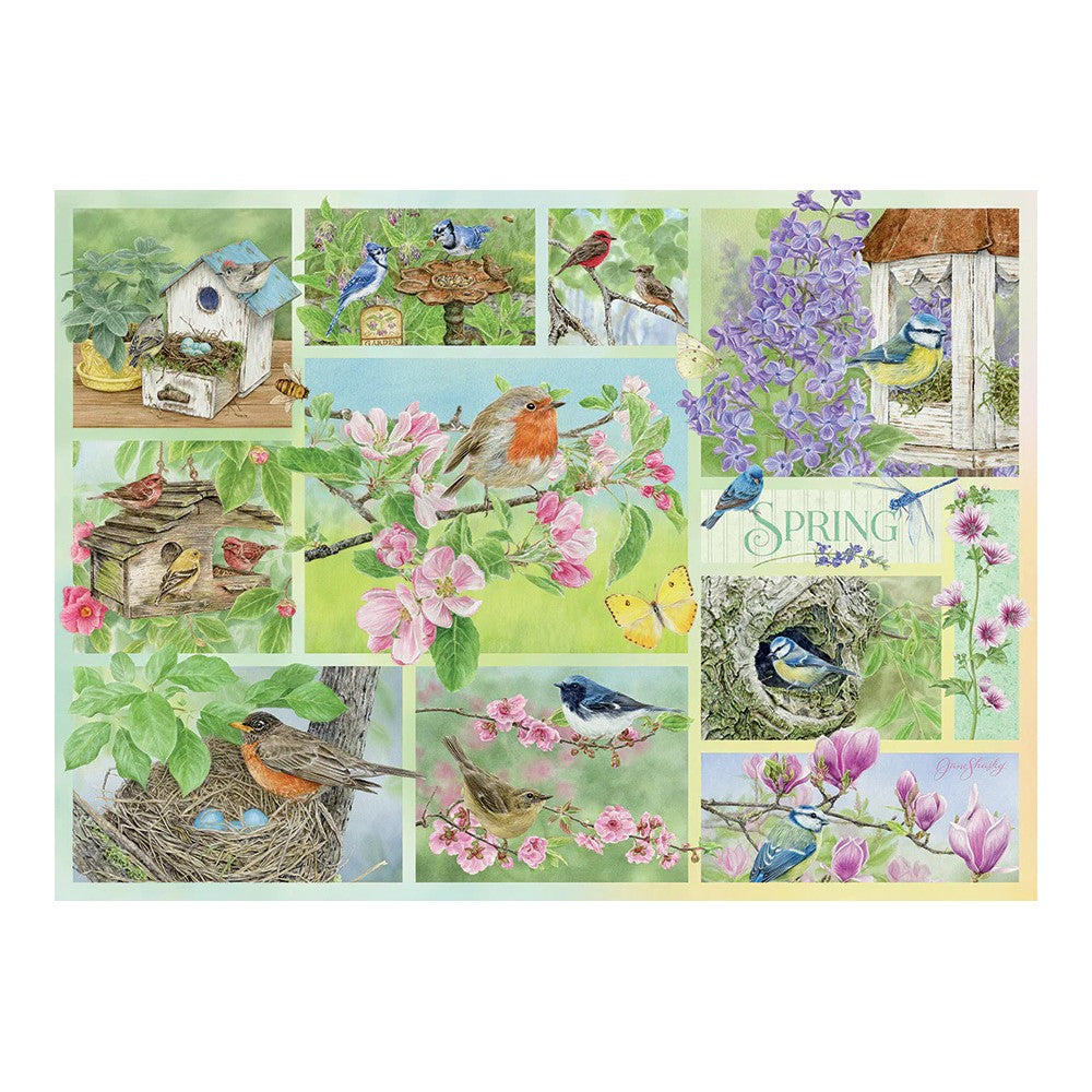 Puzzle - Cobble Hill - Garden Birds In Spring 500Pc