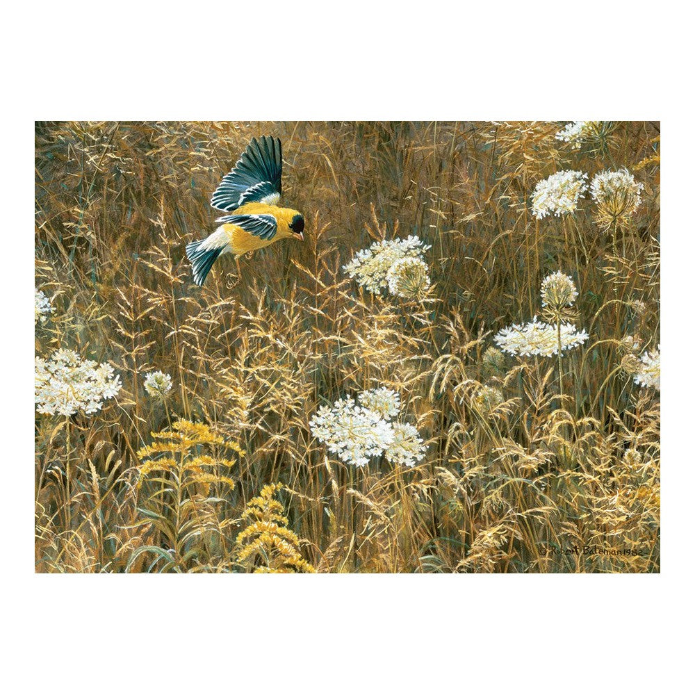 Puzzle - Cobble Hill - Queen Anne's Lace & Goldfinch