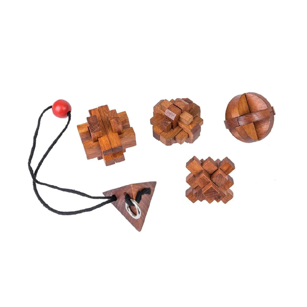 Puzzle - Great Minds Set Of 5 (Women)
