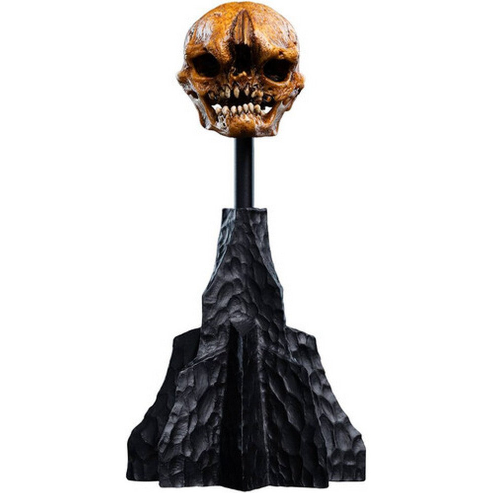 WETA - The Hobbit Trilogy - Skull of a Misty Mountain Goblin