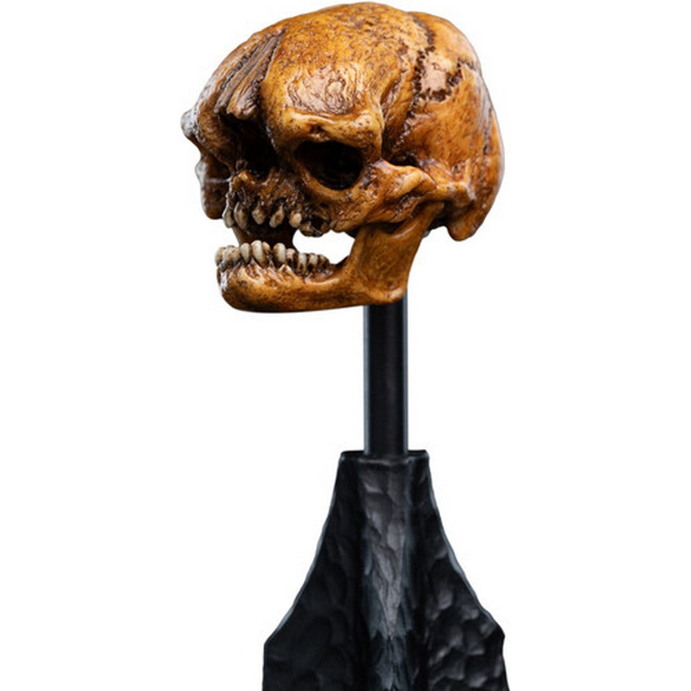 WETA - The Hobbit Trilogy - Skull of a Misty Mountain Goblin