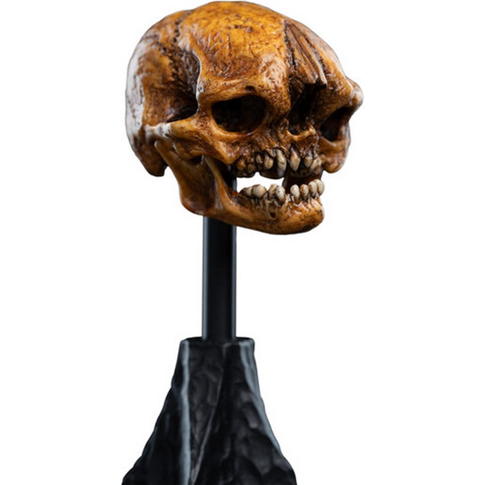 WETA - The Hobbit Trilogy - Skull of a Misty Mountain Goblin