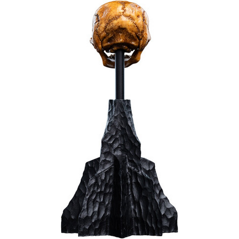WETA - The Hobbit Trilogy - Skull of a Misty Mountain Goblin