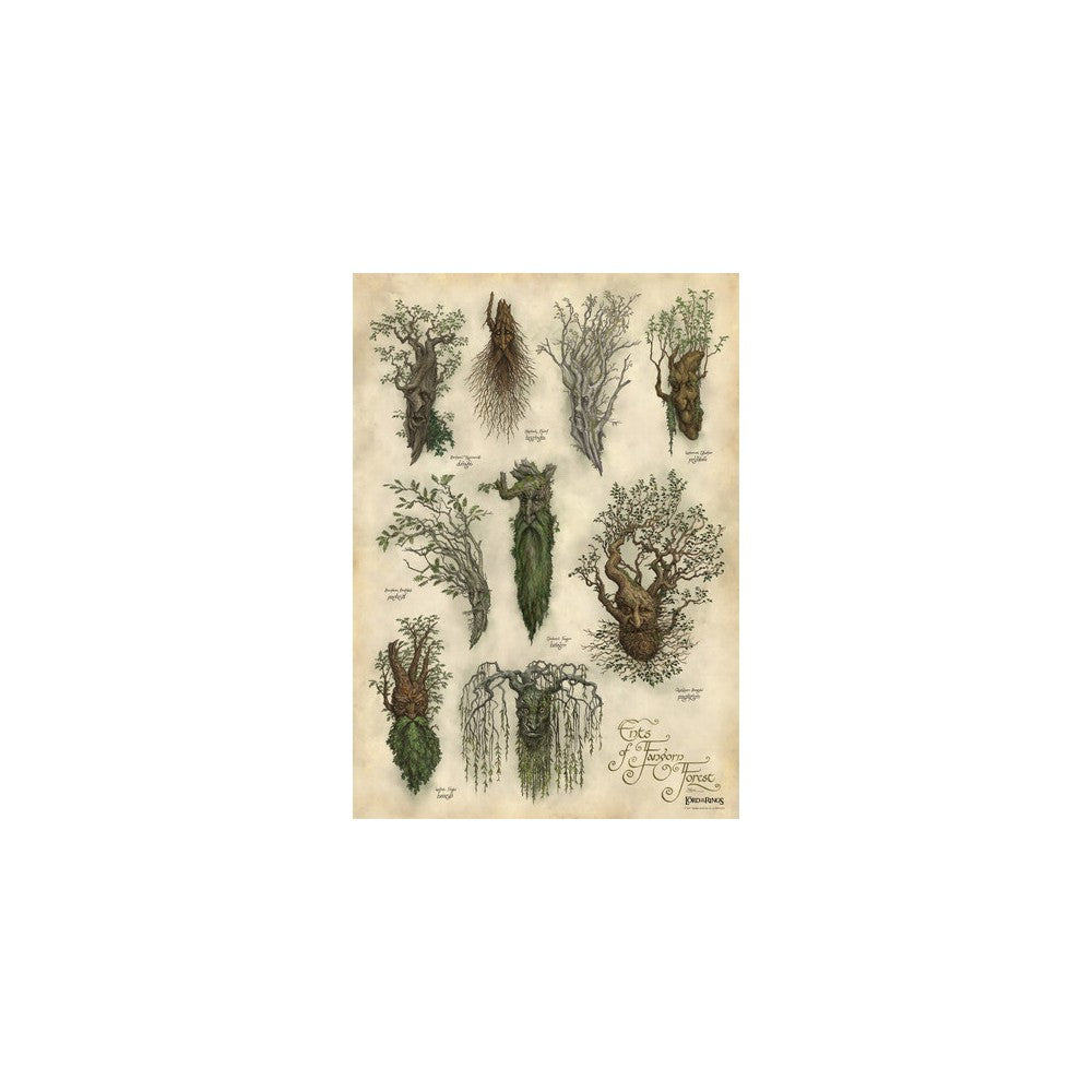 WETA - The Lord of the Rings Trilogy - Art Print - Ent's of Fangorn Forest