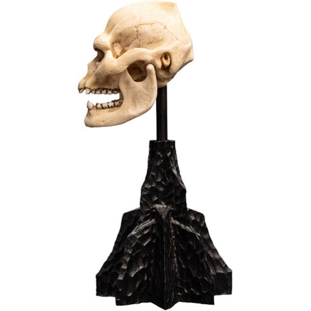 WETA - The Lord of the Rings Trilogy - Skull of Lurtz