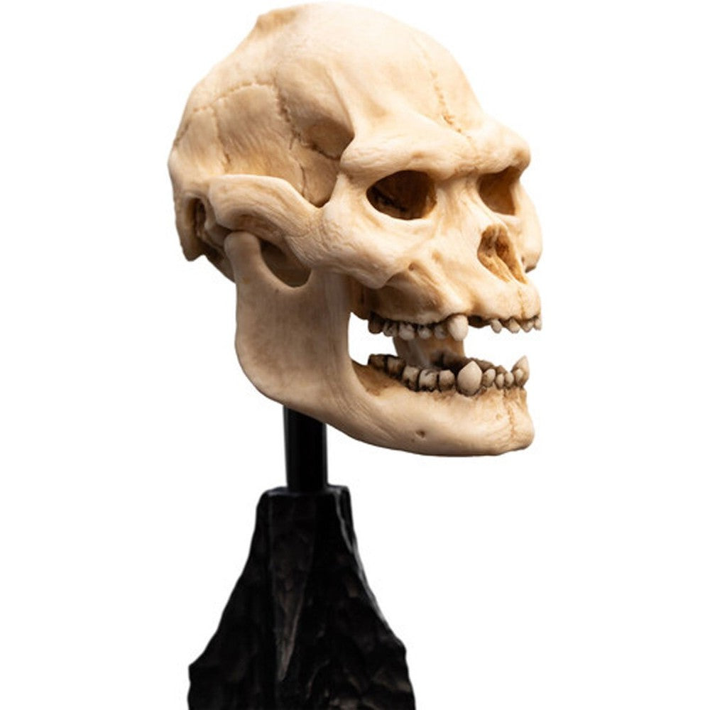 WETA - The Lord of the Rings Trilogy - Skull of Lurtz