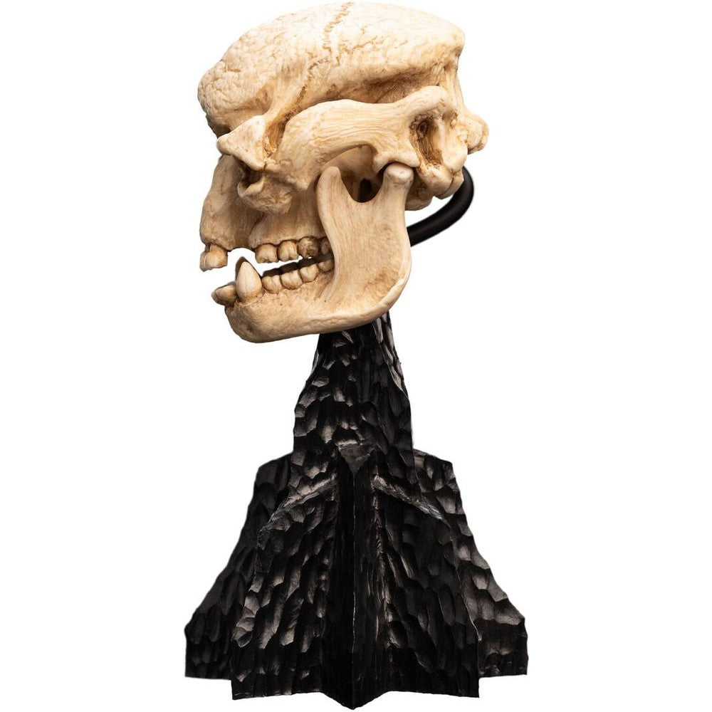WETA - The Lord of the Rings Trilogy - Skull of a Cave Troll