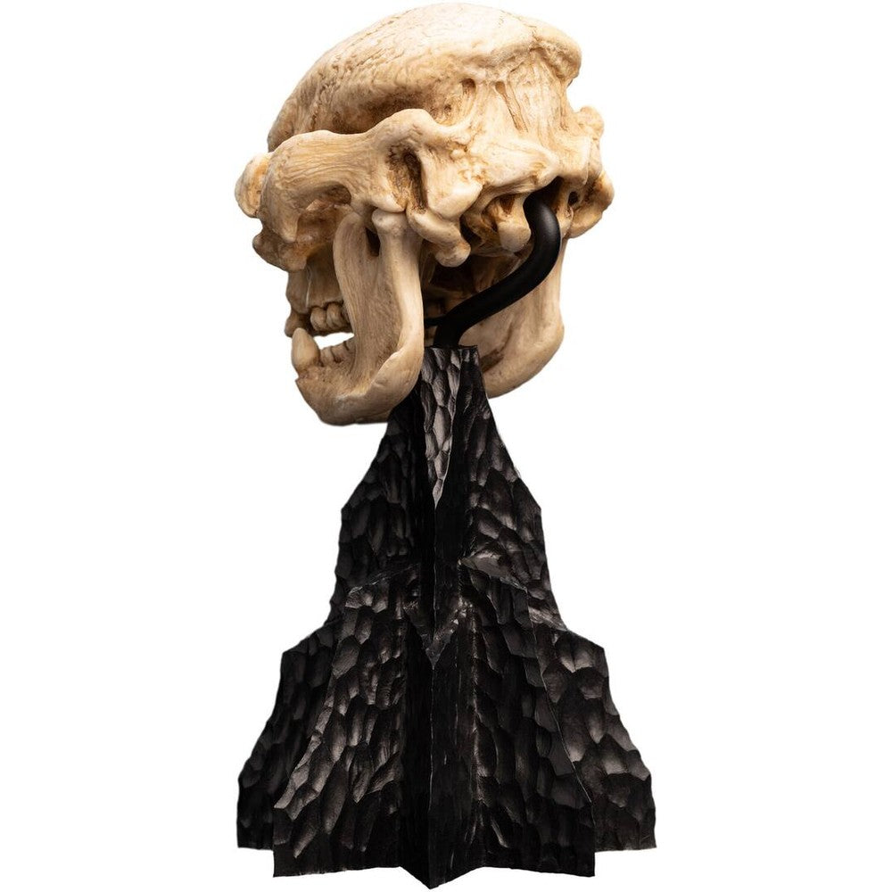 WETA - The Lord of the Rings Trilogy - Skull of a Cave Troll