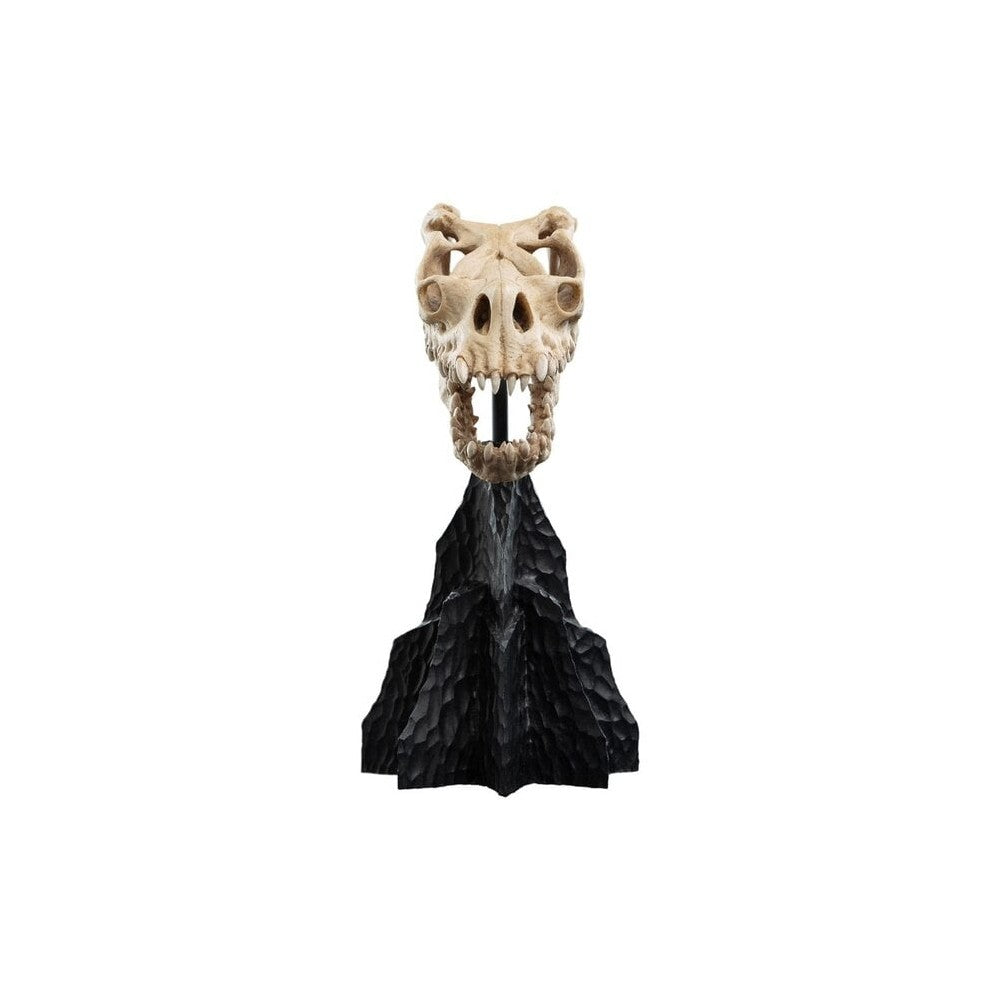 WETA - The Lord of the Rings Trilogy - Skull of a Fell Beast